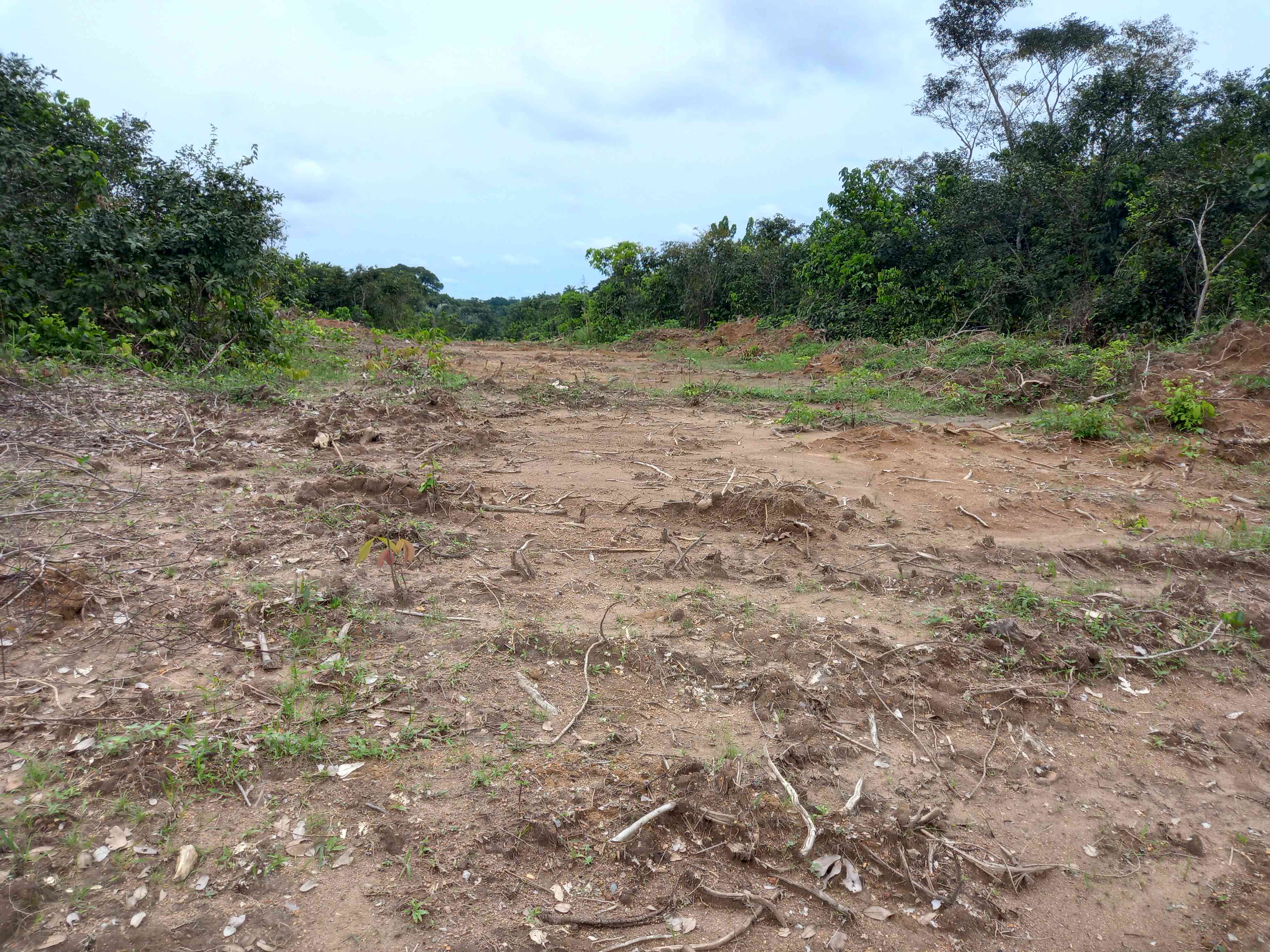 Construction Of Access Road