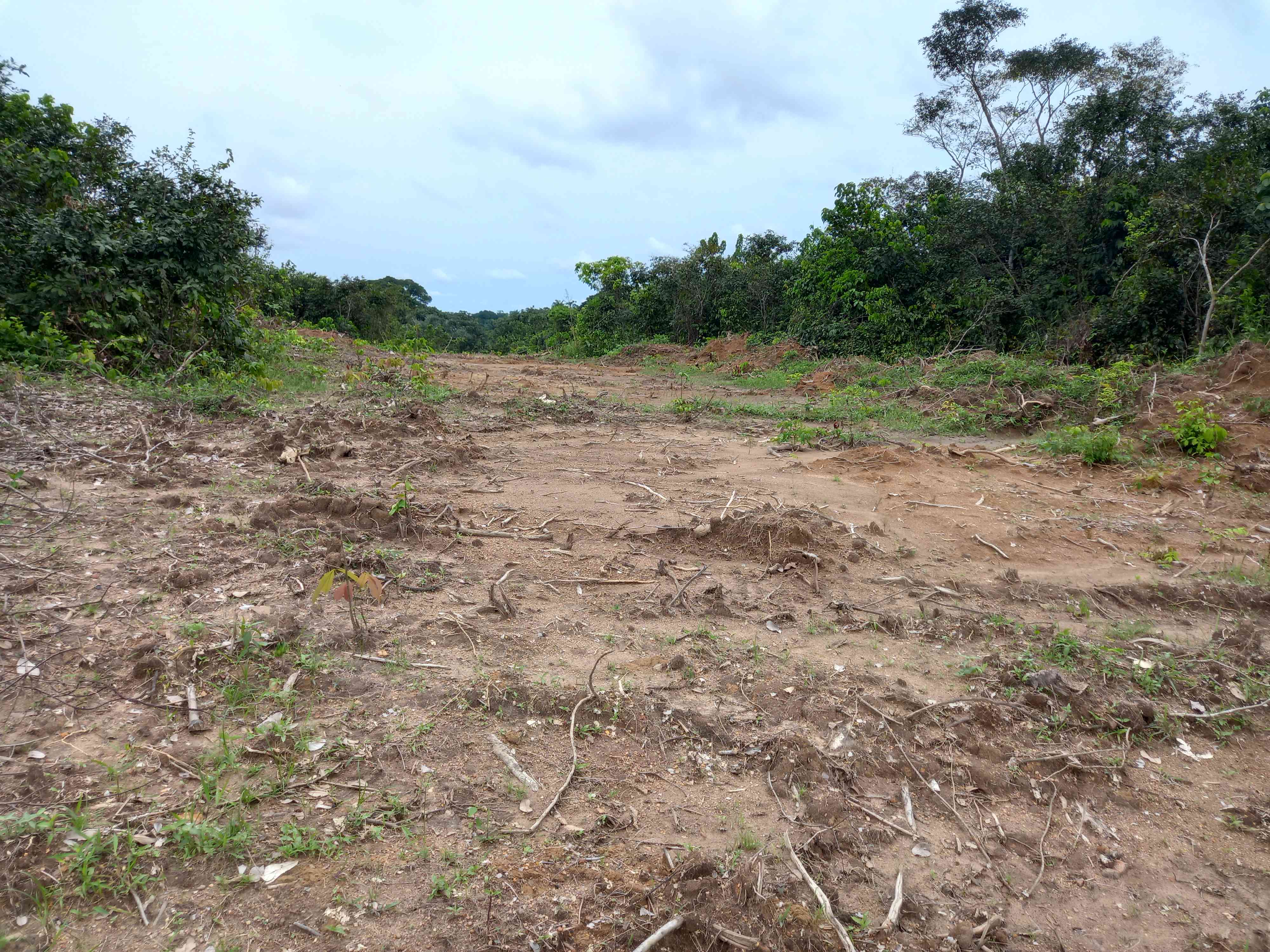 Construction Of Access Road