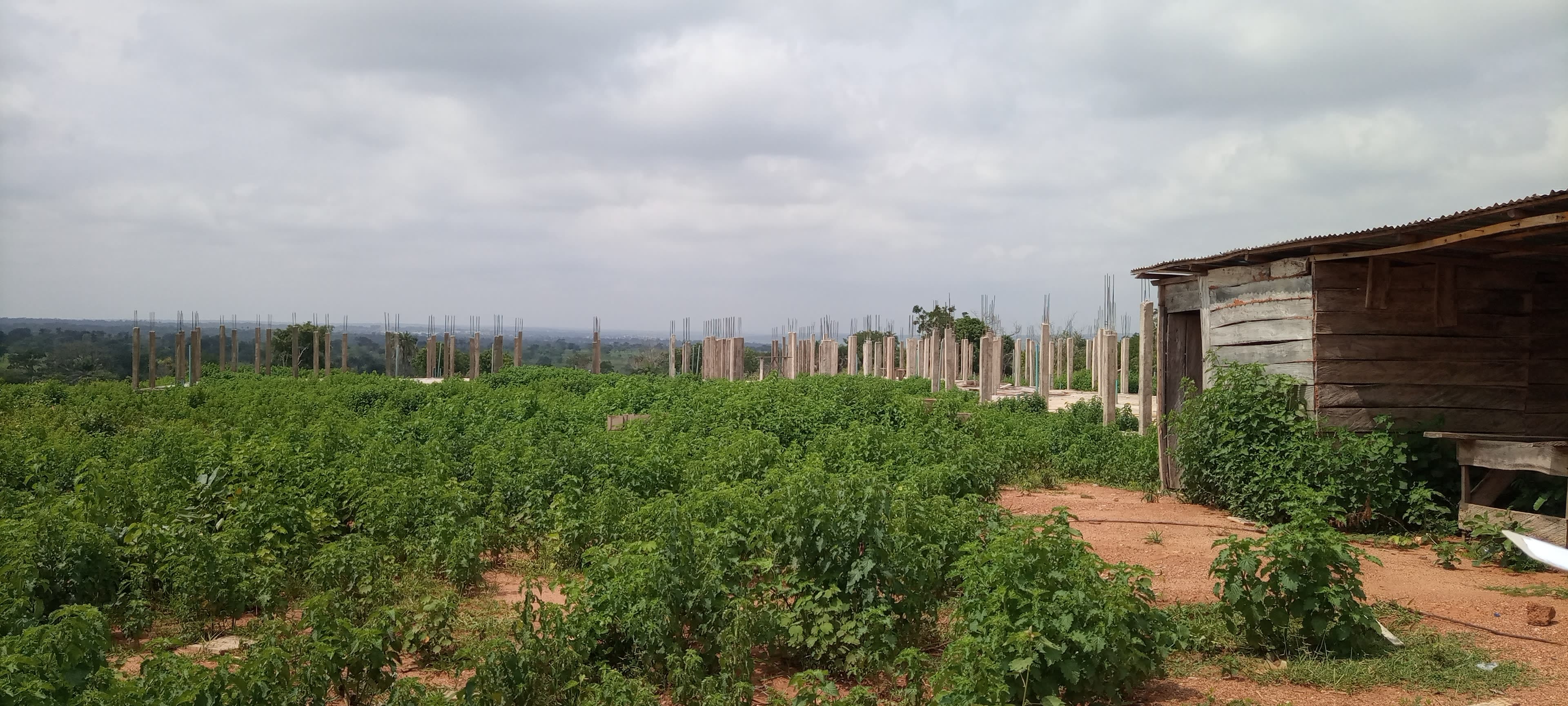 Construction And Equipping Of V.I.P. Wards Phase 2.